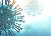 Covid-19 Pandemic